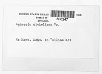 Image Associated With the Occurrence